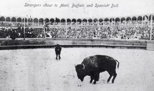 The Snorting Bull: One Giant Ring