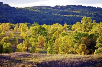 Fall colors begin to color the trees on the valley hills.