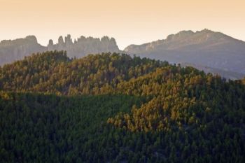 Custer State Park's high ground: Little Devil's Tower, the Cathedral Spires and Harney Peak.