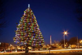 Two holiday icons of Sioux Falls — Dorothy's Tree and a decked-out KELO TV tower.