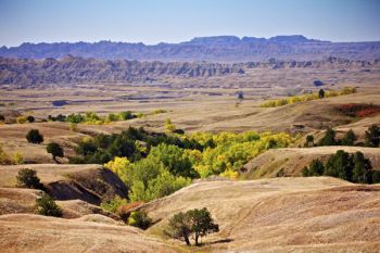 Fall colors painted the draws of Sage Creek Wilderness area in late September of last year.