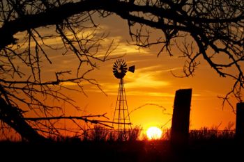The setting sun in a tangle of barbed wire and tree branches in Turner County.