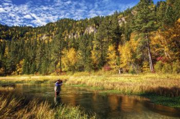 Fly fishing on Little Spearfish Creek