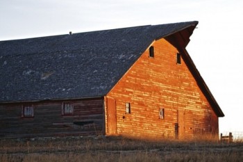 A barn north of Lake Vermillion in December.