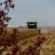 As the sun rises many South Dakota farmers are already at work maneuvering massive combines through cornfields.