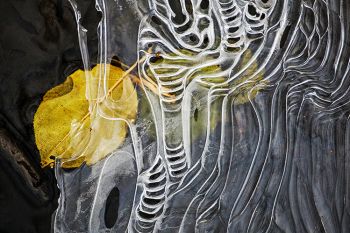 Ice art with fallen leaves and running water at the Outdoor Campus of Sioux Falls.