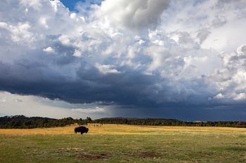 Rain clouds forming over Custer State Park.
