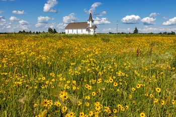 Duncan church with wildflowers in rural Buffalo County.