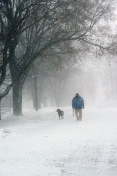 Ken Haar and his dog Bear walked down the center of a residential street during the blizzard.