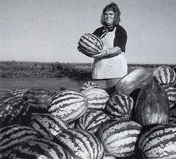 Dorrie Tollefson credits unique soil conditions for giving Forestburg melons their sweetness.