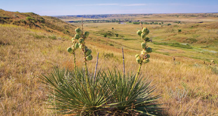 www.southdakotamagazine.com