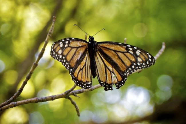 Escape to Serenity: Uncovering the Gems of South Dakota's Little Moreau Recreation Area