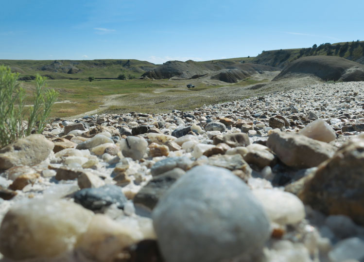 Rock & Fossil Hunting in Southwest Michigan