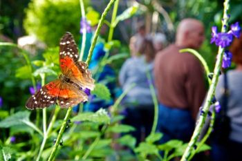 Visitors enjoy the indoor tropical garden at Sertoma's Flight Room, where the temperature is always around 85 degrees. (Click image to view larger slideshow)