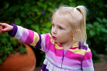 Children especially like to identify the many species of butterflies.