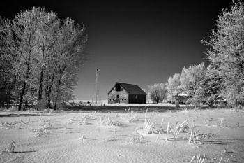 Hoarfrost decorated this McCook County scene.