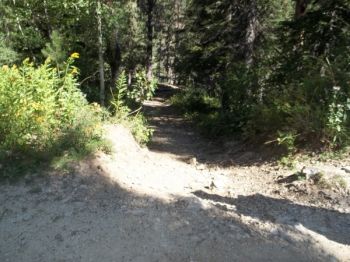 The path to Annie Creek Falls.