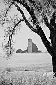 Another McCook County farm scene framed by Jack Frost’s handiwork.