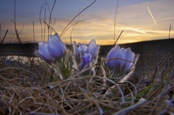 In the Coteau Hills along the border of Codington and Grant counties.