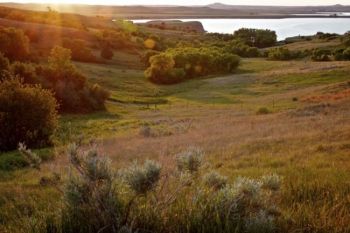 Evening light on the reservoir.