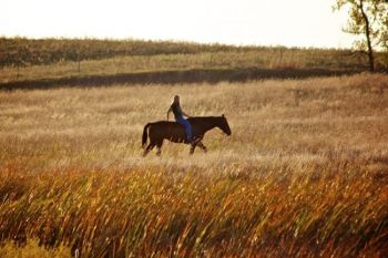 Sica Hollow State Park is a favorite for horse lovers, with trails winding along the hilltops and down into the hollow itself.