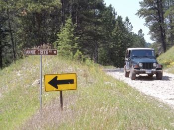 Annie Creek Road off of Spearfish Canyon.