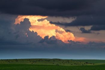 Storm clouds over a peaceful Walworth County farm and ranchland.