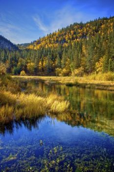 Early morning at Little Spearfish Creek.