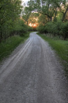 A view from the River Loop trail at sunset.