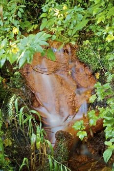 Look for this small waterfall along the Aspen Spring hiking trail.