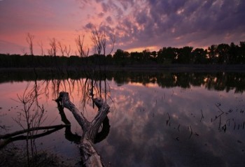 The serene waters of Mud Lake after sunset.