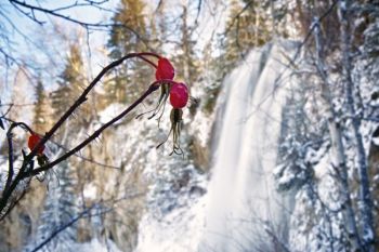 Celebrate the New Year by taking in the beauty of nature.  Spearfish Falls photo by Christian Begeman. 