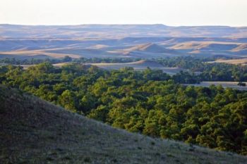 Little Moreau Creek and valley just after sunup in early August.