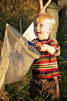 Catching butterflies is fun for all ages.