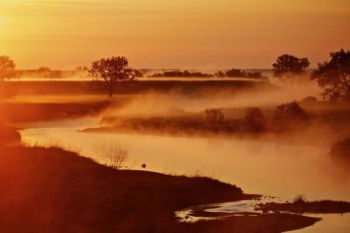 Early morning mist above the Grand River.