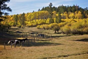 Another fall scene on the way to Cement Ridge.