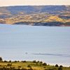 Water skiing, as seen from the eastern bluffs of Snake Creek Recreation Area. Click to enlarge photos.