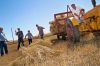 Family and friends gathered to help thresh oats on Cwach s farm.