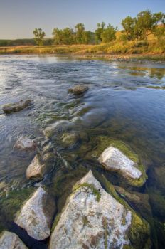 The Grand River at ground level just beyond the spillway.