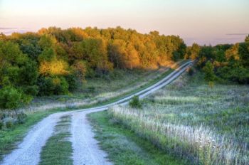 The road to the horse campgrounds as the last light hits the trees.