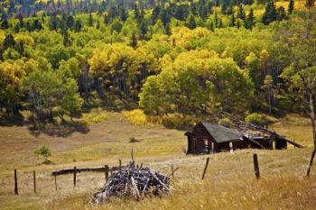 An unused log building on the shoulders of Custer Peak in the Black Hills.