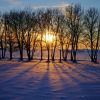 Sunset through the trees in  northern Minnehaha County. Click to enlarge photos.