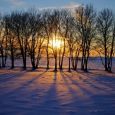 Sunset through the trees in  northern Minnehaha County. Click to enlarge photos.