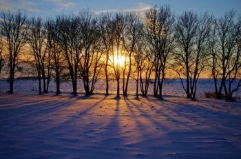 Sunset through the trees in  northern Minnehaha County. Click to enlarge photos.