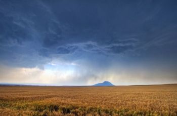 A wheat field southeast of the butte as the thunderstorm approached. This image reminds me of why my dad always bought hail insurance for our winter wheat fields.