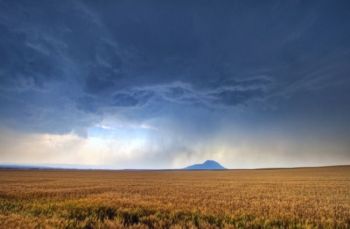 A wheat field southeast of the butte as the thunderstorm approached. This image reminds me of why my dad always bought hail insurance for our winter wheat fields.