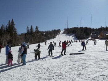 Looking up the hill from the Stewart Lodge.