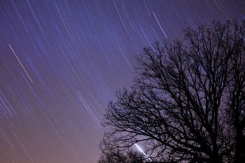 A clear and windless night allowed Christian to silhouette a single tree against the revolving stars at Oakwood State Park.