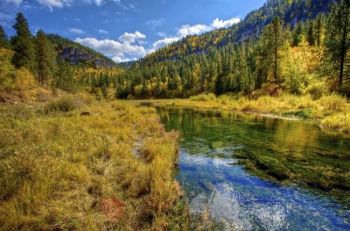 <a href='http://gfp.sd.gov/state-parks/directory/roughlock-falls/' target='_blank'>Roughlock Falls Nature Area</a> in autumn's full array. Click to enlarge photos.