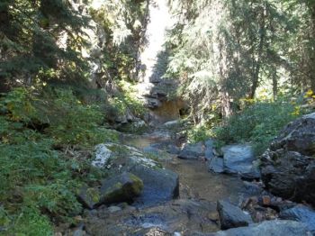 Looking down Annie Creek.